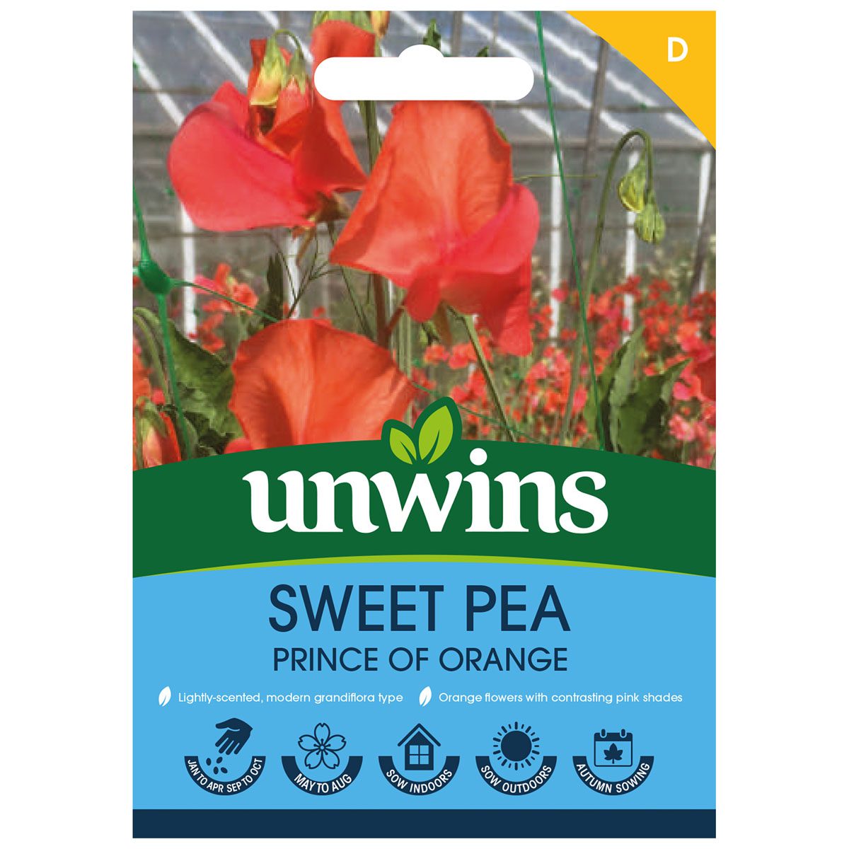 5051618038683 1 Sweet Pea Prince Of Orange Seeds.jpg